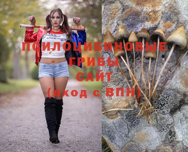 apvp Верхний Тагил