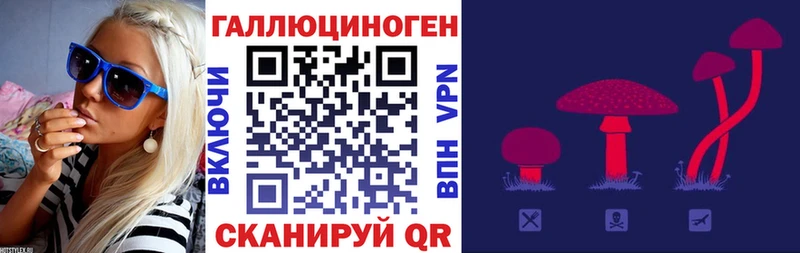 Галлюциногенные грибы мицелий  Грайворон 